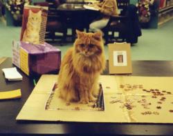 Dewey